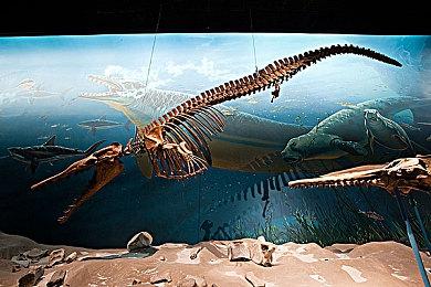 《盗贼遗产2》4月28日正式发售 支持官方简体中文