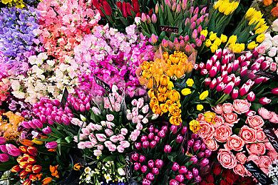 《UFO机器人古连泰沙：狼群盛宴》新实机预告发布