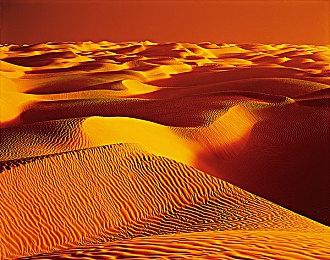 Bloober Team：未来的游戏 销量将超过1000万套